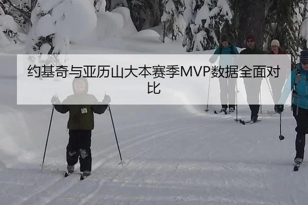 约基奇与亚历山大本赛季MVP数据全面对比