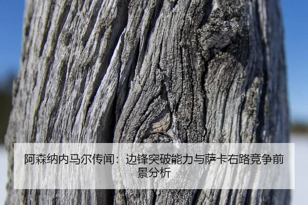 a-sen-na-nei-ma-er-chuan-wen-bian-feng-tu-po-neng-li-yu-sa-ka-you-lu-jing-zheng-qian-jing-fen-xi-3-829.jpg